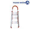 Thang Inox Ghế Tay Vịn Chữ A Nikita IN - 03